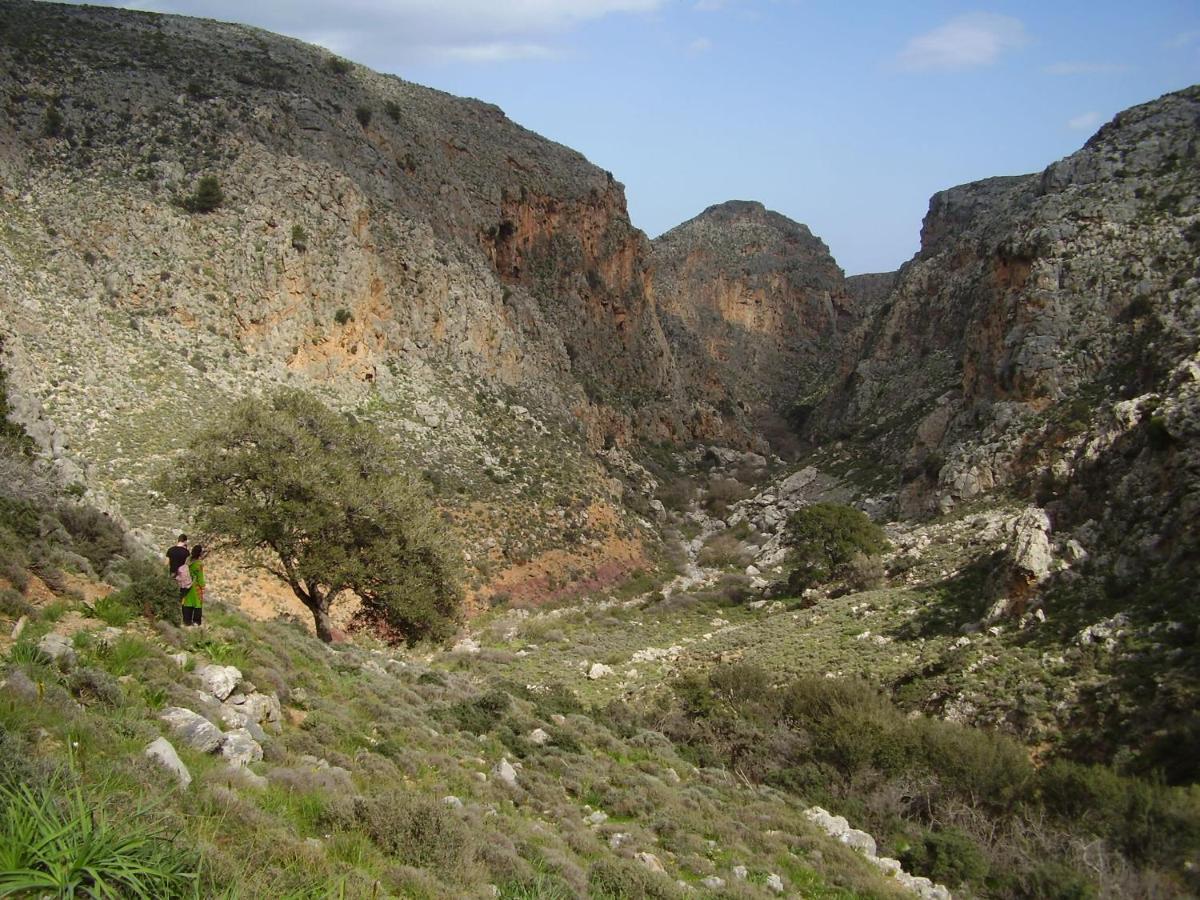 Aggel'S House - Stone House - Private Pool - Courtyard - Countryside Views Villa Kato Episkopi Luaran gambar